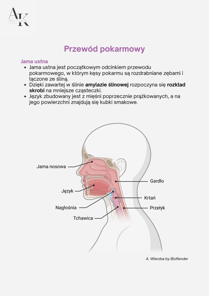 zawartość produktu